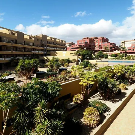 Apartment La Perla: Sea View And Pool El Medano (Tenerife)